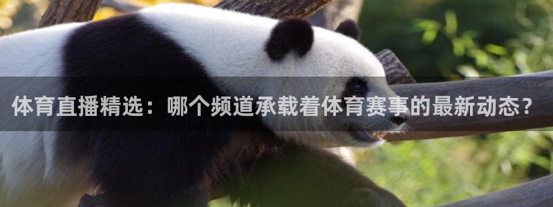 nba赛程直播在线观看视频小九：体育直播精选：哪个频道承载着体育赛事的最新动态？