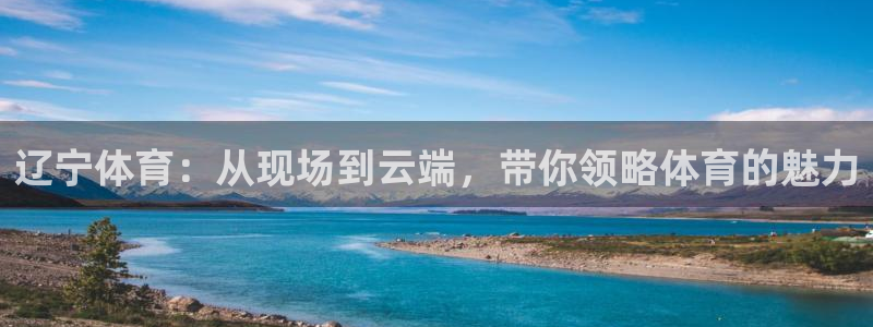 小九足球直播在线观看：辽宁体育：从现场到云端，带你领略体育的魅力