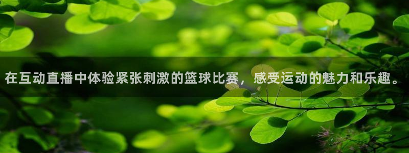 小九英超直播免费观看高清：在互动直播中体验紧张刺激的篮球比赛，感受运动的魅力和乐趣。