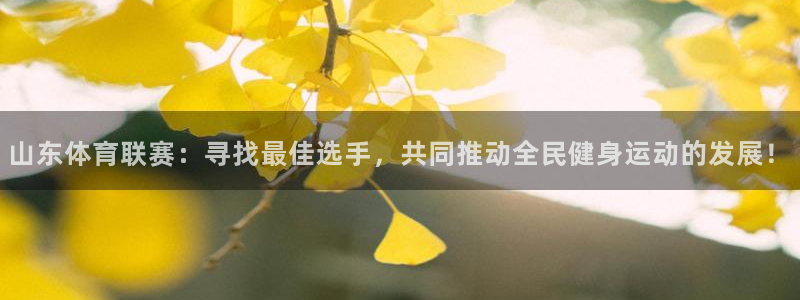 中超小九免费直播：山东体育联赛：寻找最佳选手，共同推动全民健身运动的发展！