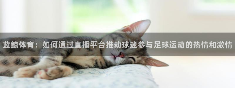 nba小九直播免费观看：蓝鲸体育：如何通过直播平台推动球迷参与足球运动的热情和激情