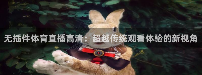 小九篮球直播：无插件体育直播高清：超越传统观看体验的新视角