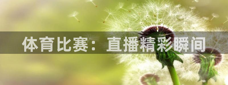 小九直播体育直播平台：体育比赛：直播精彩瞬间